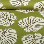 Baumwoll-Canvas - Monstera Blätter Grün