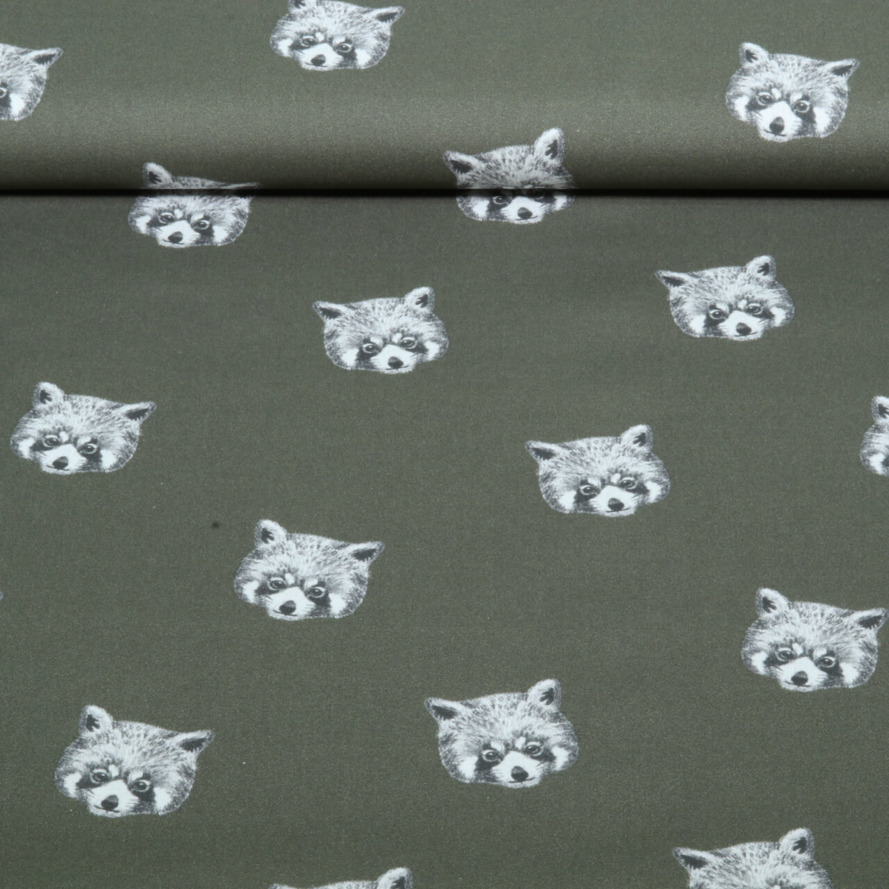 Baumwoll-Popeline Digital Waschbär Grün-0 Baumwoll-Popeline Digital Waschbär Grün-0