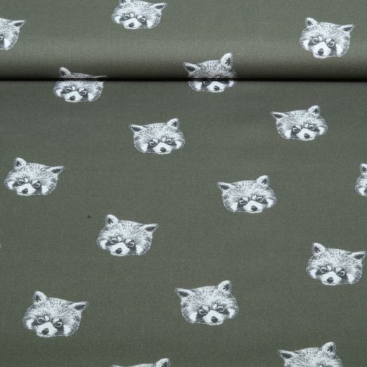 Baumwoll-Popeline Digital Waschbär Grün Baumwoll-Popeline Digital Waschbär Grün