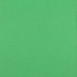 Polsini organici tinta unita - Lime chiaro 085