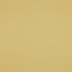 Coton - Jaune moutarde clair