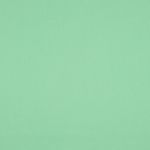 Coton - Vert tilleul