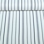 Lin en viscose - mélange de rayures Blanc Bleu