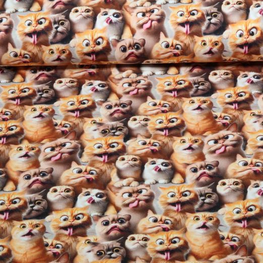 Jersey - Digital Verrückte Katzen Braun