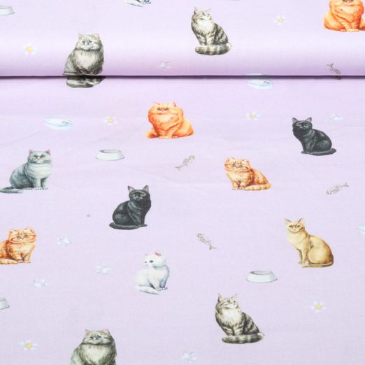 Baumwoll-Webware - Digital Katzen Lila
