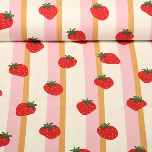 Jersey - Erdbeeren Streifen Ecru