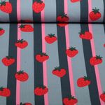 Jersey - Erdbeeren Streifen Jeansblau