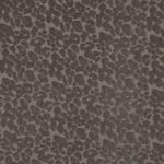 Jersey de rizo - Leo Taupe