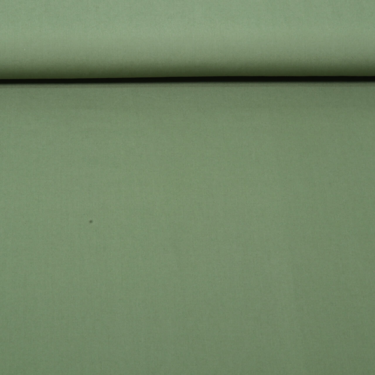 Tissu en coton bio Ilvi - Unie vert fougère-0 Tissu en coton bio Ilvi - Unie vert fougère-0