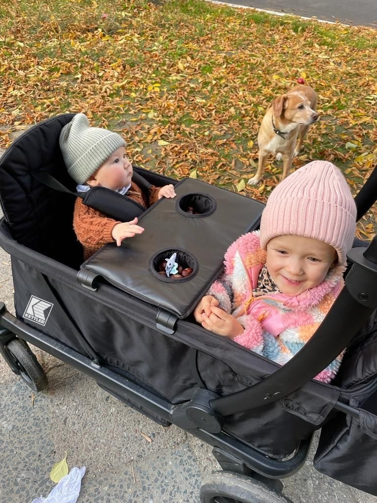 Accessori viaggi con bambini: il carrello pieghevole Bollerwagen