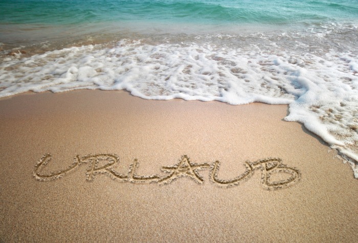 WIR MACHEN URLAUB! VOM 22.8-9.9.25