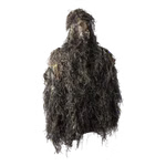 D-P-B-2021-50-1.png