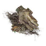 D-P-F-2021-50-1.png