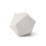 Calcium Carbonate PLA Composite 1