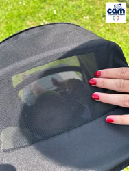 2in1 Kombi-Kinderwagen Modus Duo 2in1 Kombi-Kinderwagen Modus Duo in modernem italienischem Design – komfortabler Begleiter für Kinder von 0 bis 4 Jahren in grün