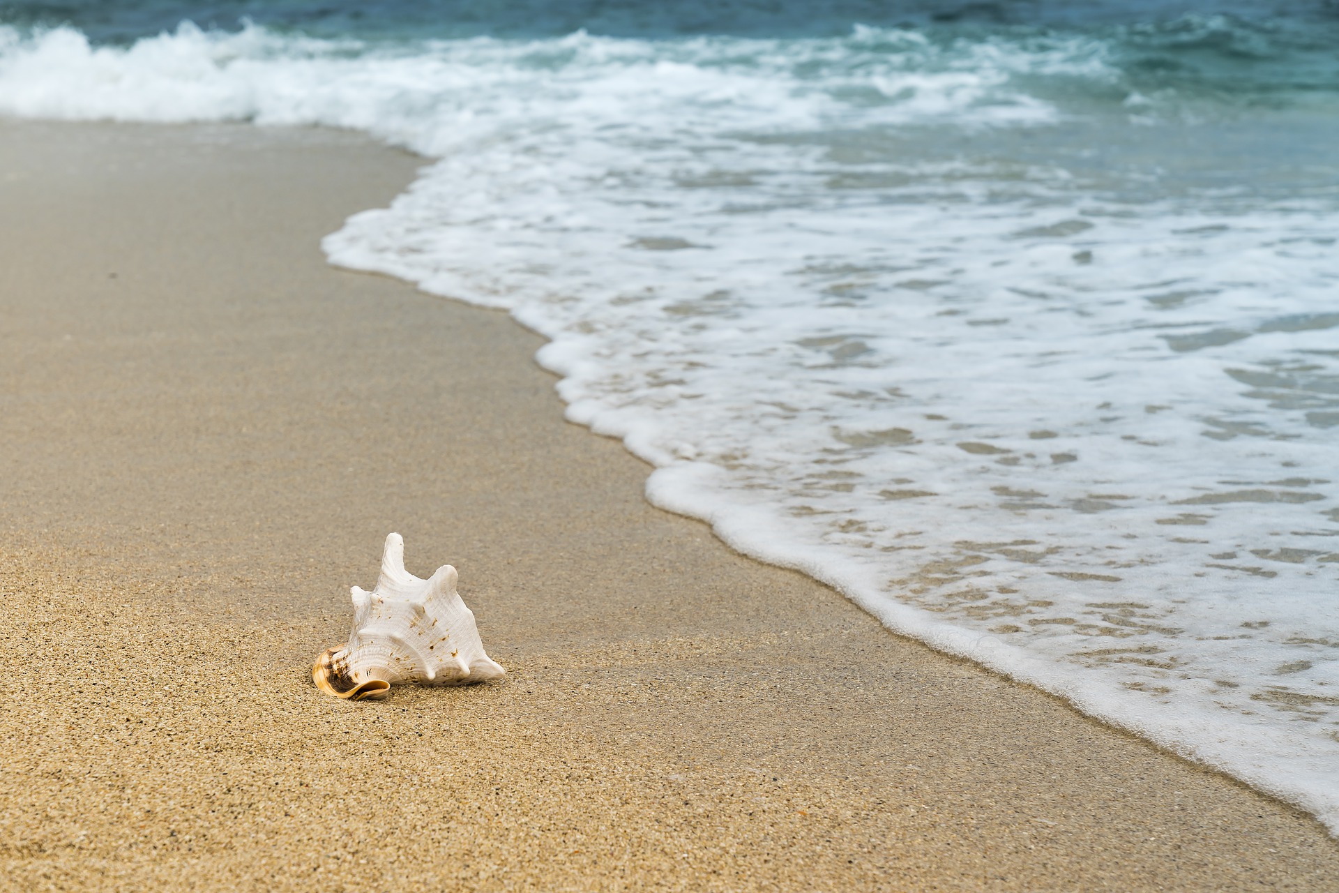 Packliste für deinen Strandurlaub