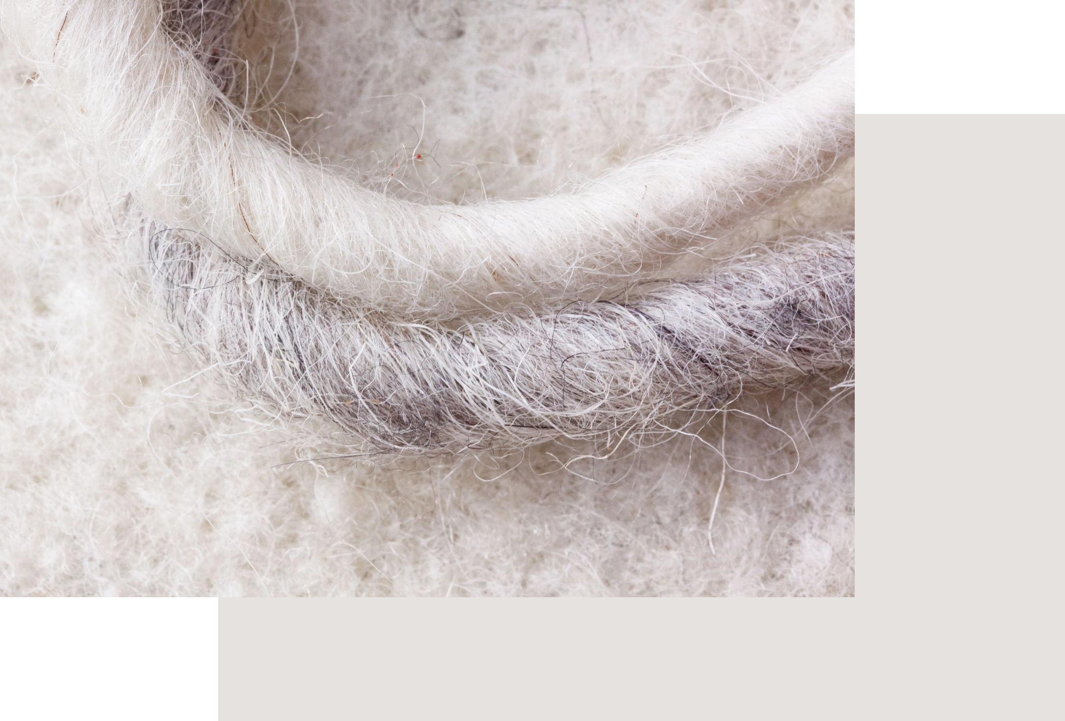 Tierfasern
