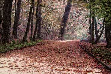 Bild-Teppich 110 x 63 cm Teppichbrücke