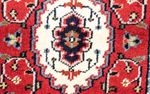 Oriental Rug - Shams - runner