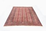 Alfombra afgana - Bukhara - 285 x 226 cm - rojo