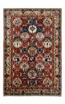 Perser Rug - Nomadic - 315 x 207 cm - brown