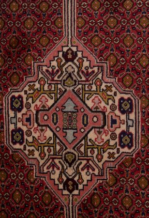 Tapis de couloir Tapis persan - Classique - 305 x 78 cm - rouge clair