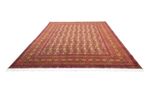 Afghan Teppich - Buchara 265 x 183 cm