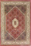 Perser Rug - Bidjar - 350 x 250 cm - red