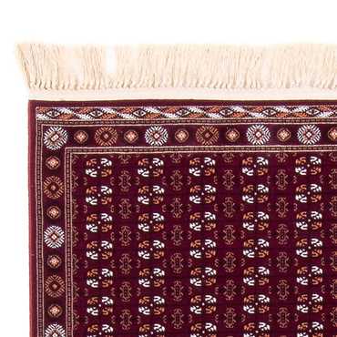 Oriental Carpet - Afghan Mauri - rektangulär