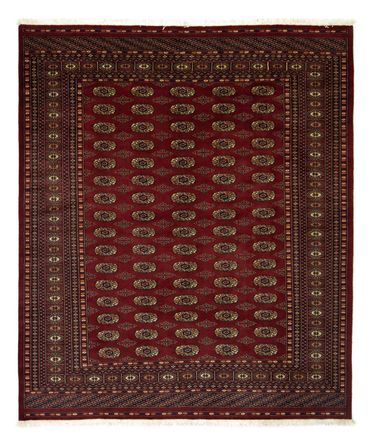 Afghan Teppich - Buchara 240 x 203 cm, Schurwollteppich,  Wohnzimmer Teppich, Esszimmer Teppich