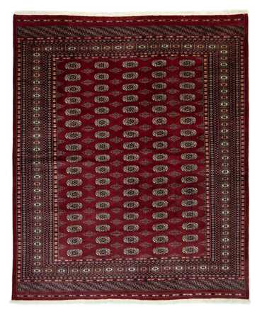 Tapis afghan - Boukhara - 247 x 201 cm - rouge