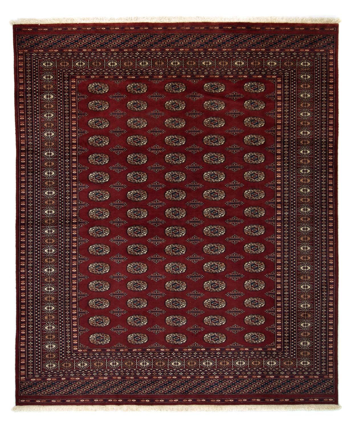 Afghaans tapijt - Bukhara - 244 x 205 cm - rood