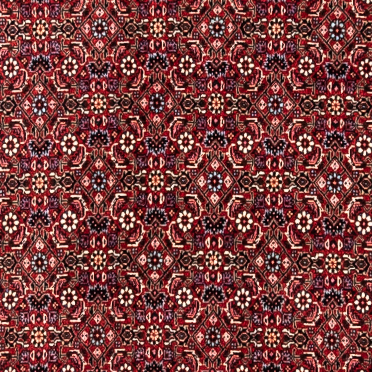 Alfombra persa - Bidjar - 343 x 251 cm - rojo