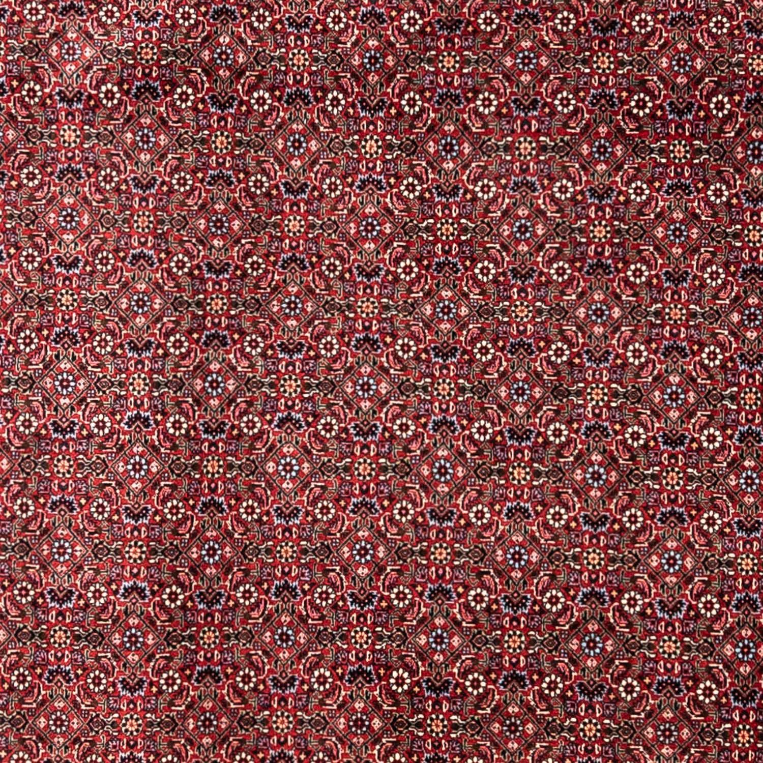 Tapis persan - Bidjar - 335 x 255 cm - rouge