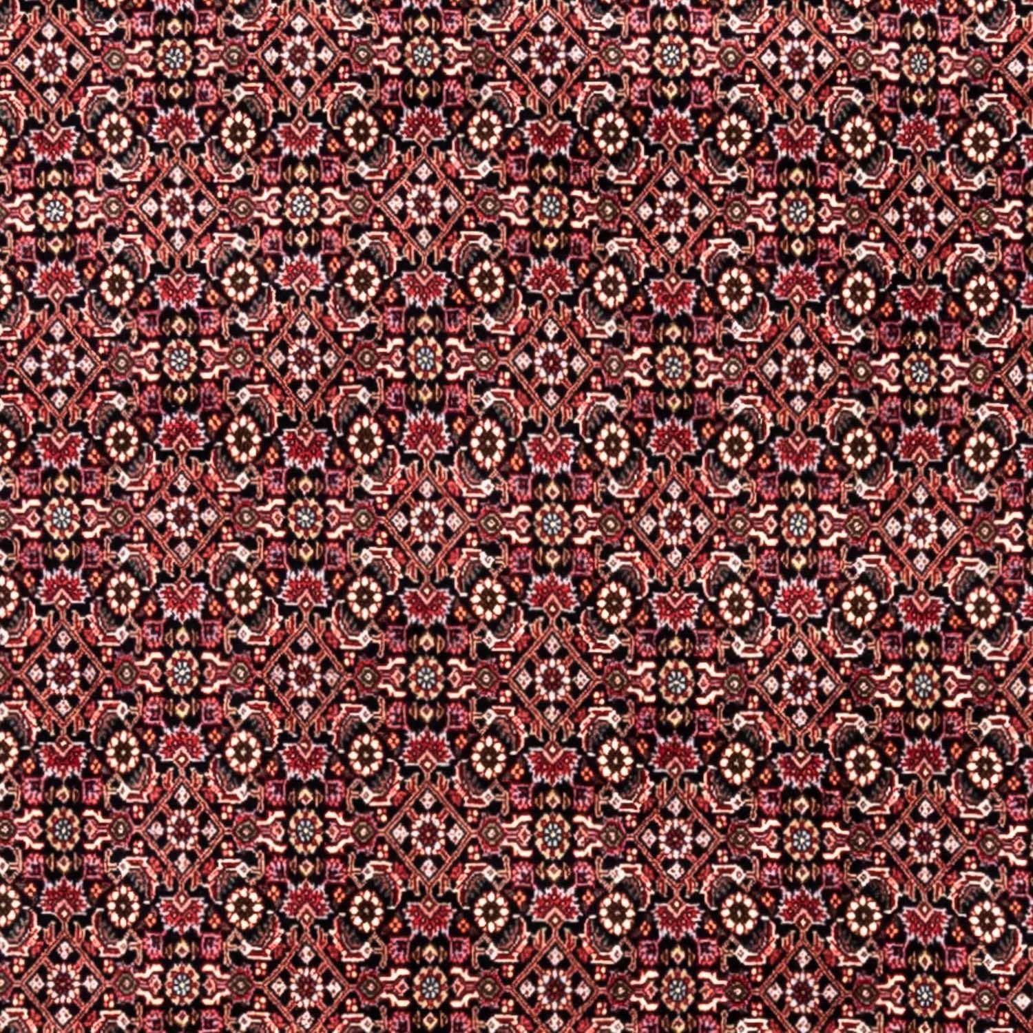 Alfombra persa - Bidjar - 345 x 246 cm - rojo