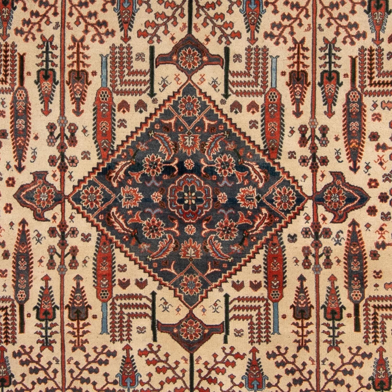 Tapete Gabbeh - Kashkuli Persa - 258 x 230 cm - ferrugem