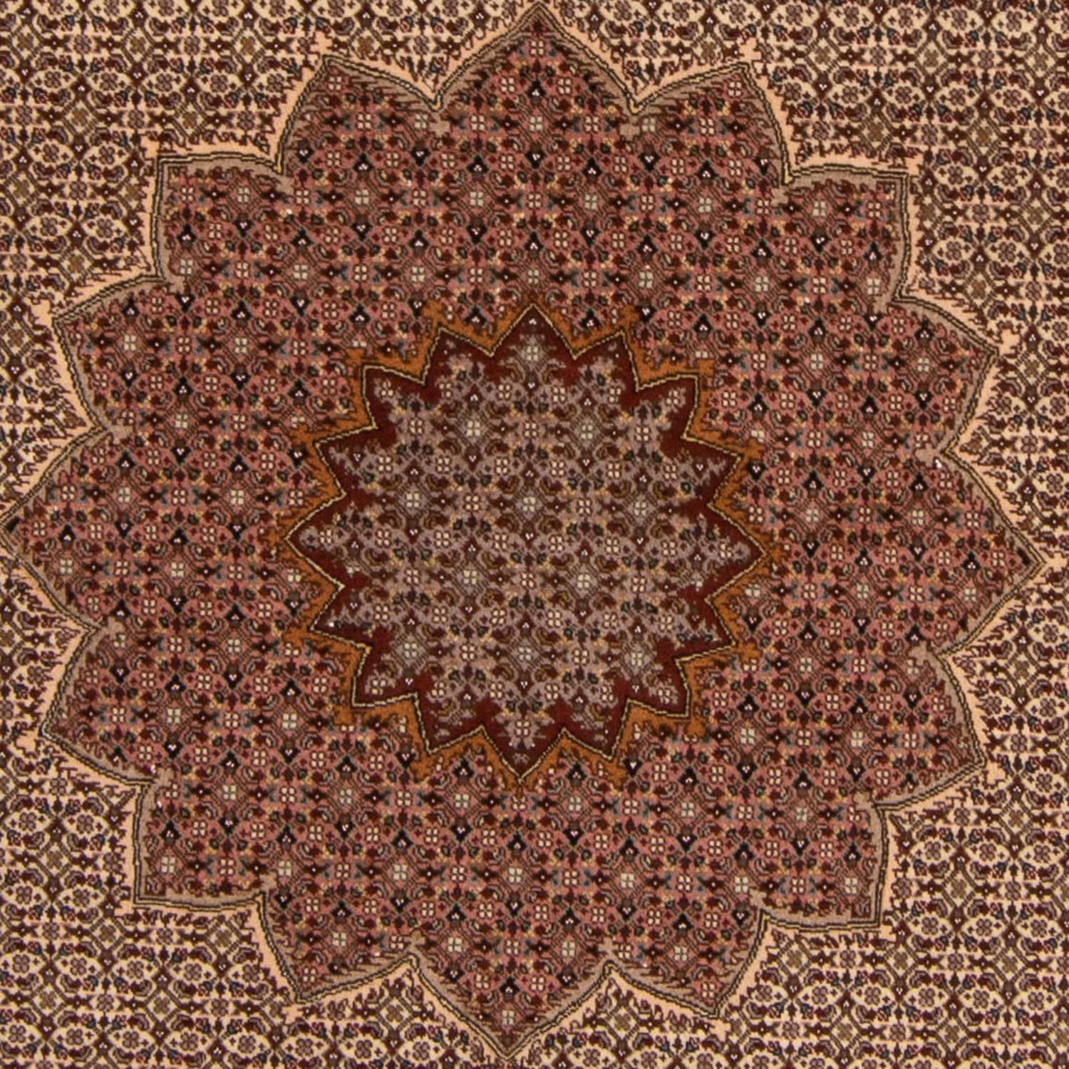 Tapete Persa - Tabriz - Royal - 260 x 248 cm - castanho