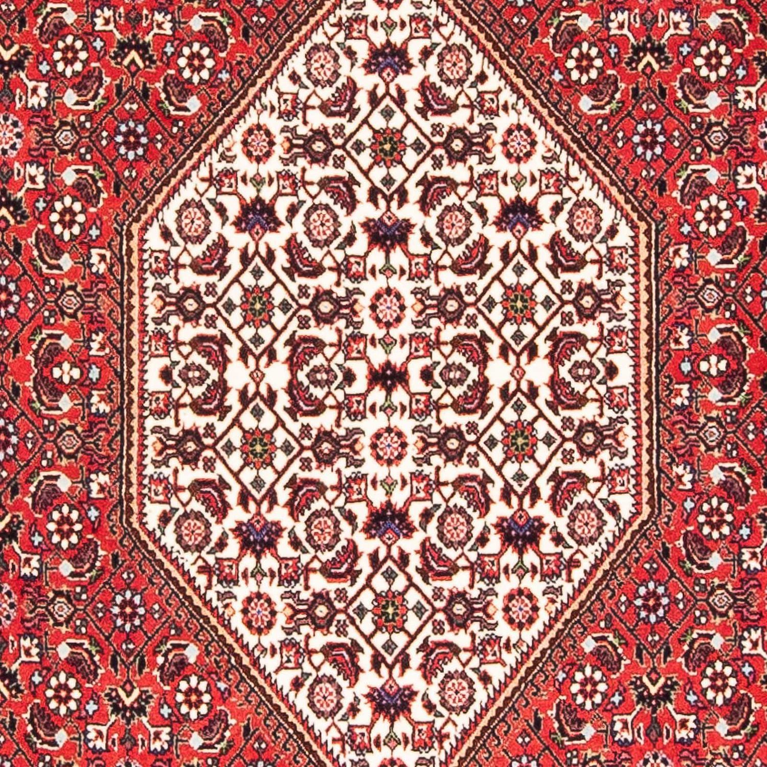 Alfombra persa - Bidjar - 175 x 110 cm - rojo