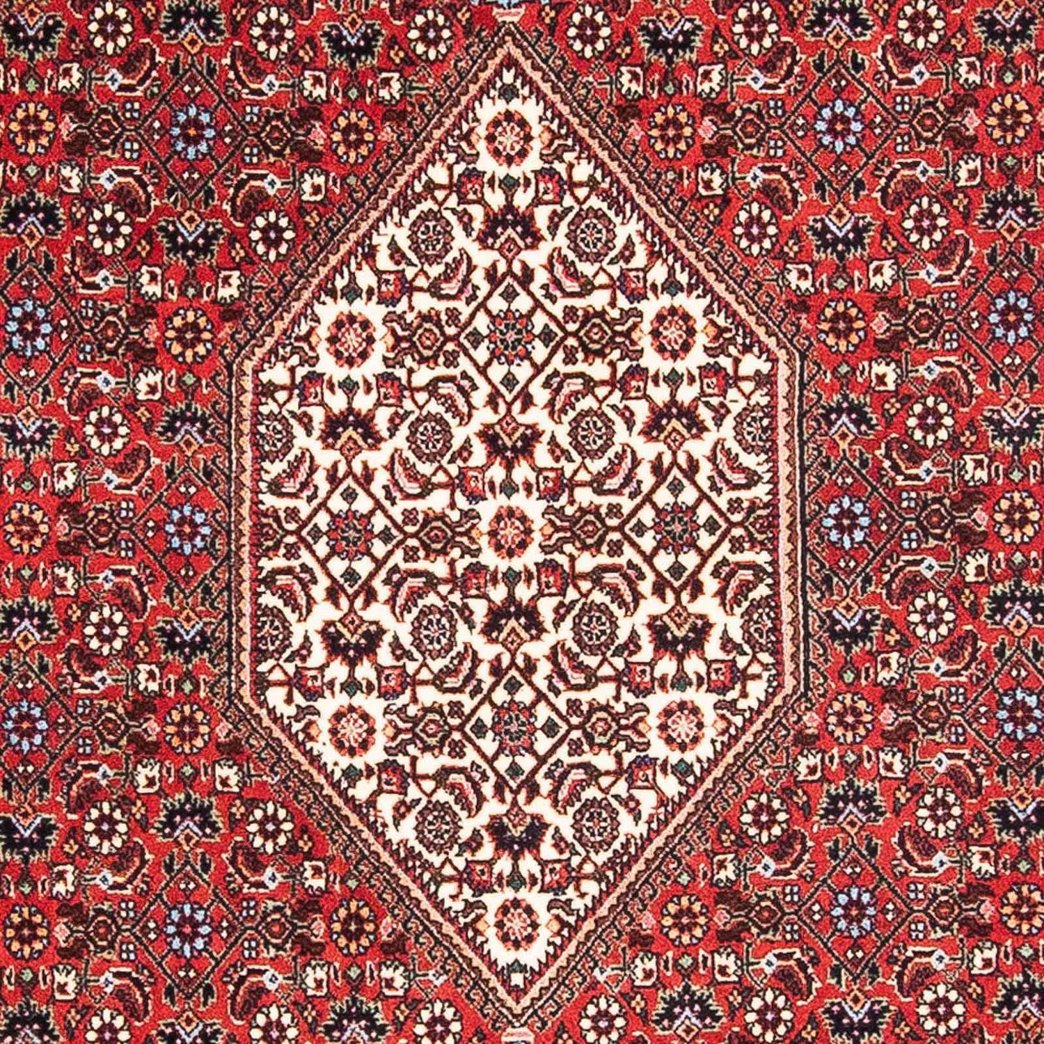 Alfombra persa - Bidjar - 176 x 110 cm - rojo claro