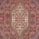 Tapis persan - Bidjar - 170 x 107 cm - rouge clair