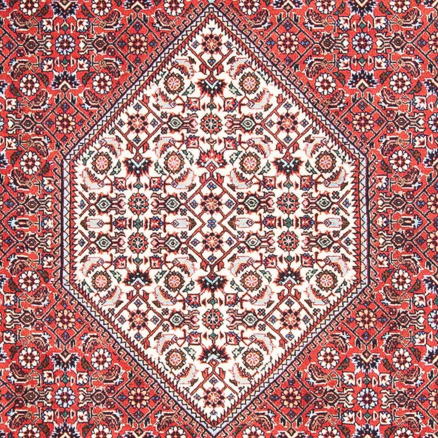 Tappeto Persero - Bidjar - 168 x 107 cm - rosso