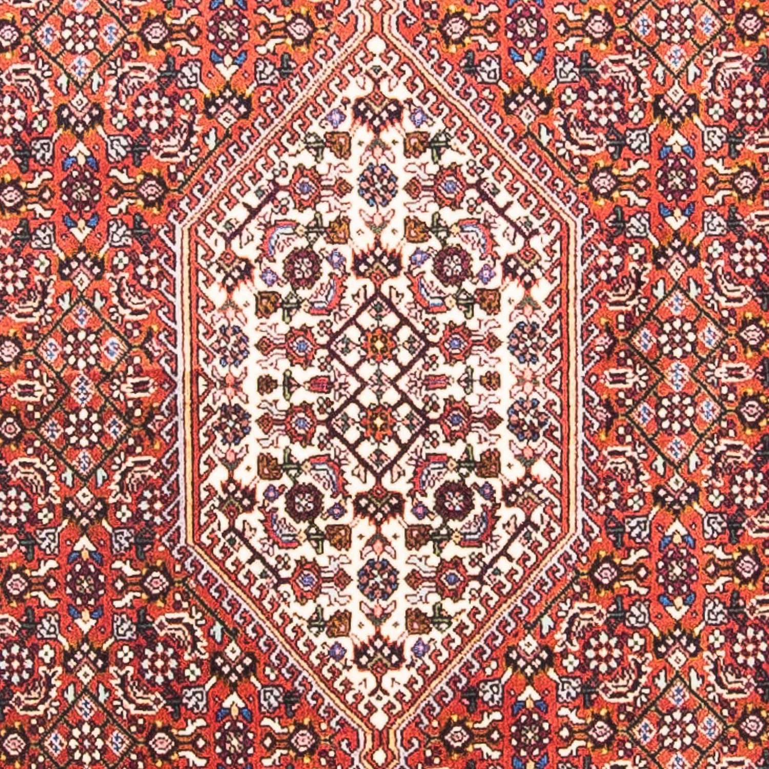 Alfombra persa - Bidjar - 148 x 92 cm - rojo claro