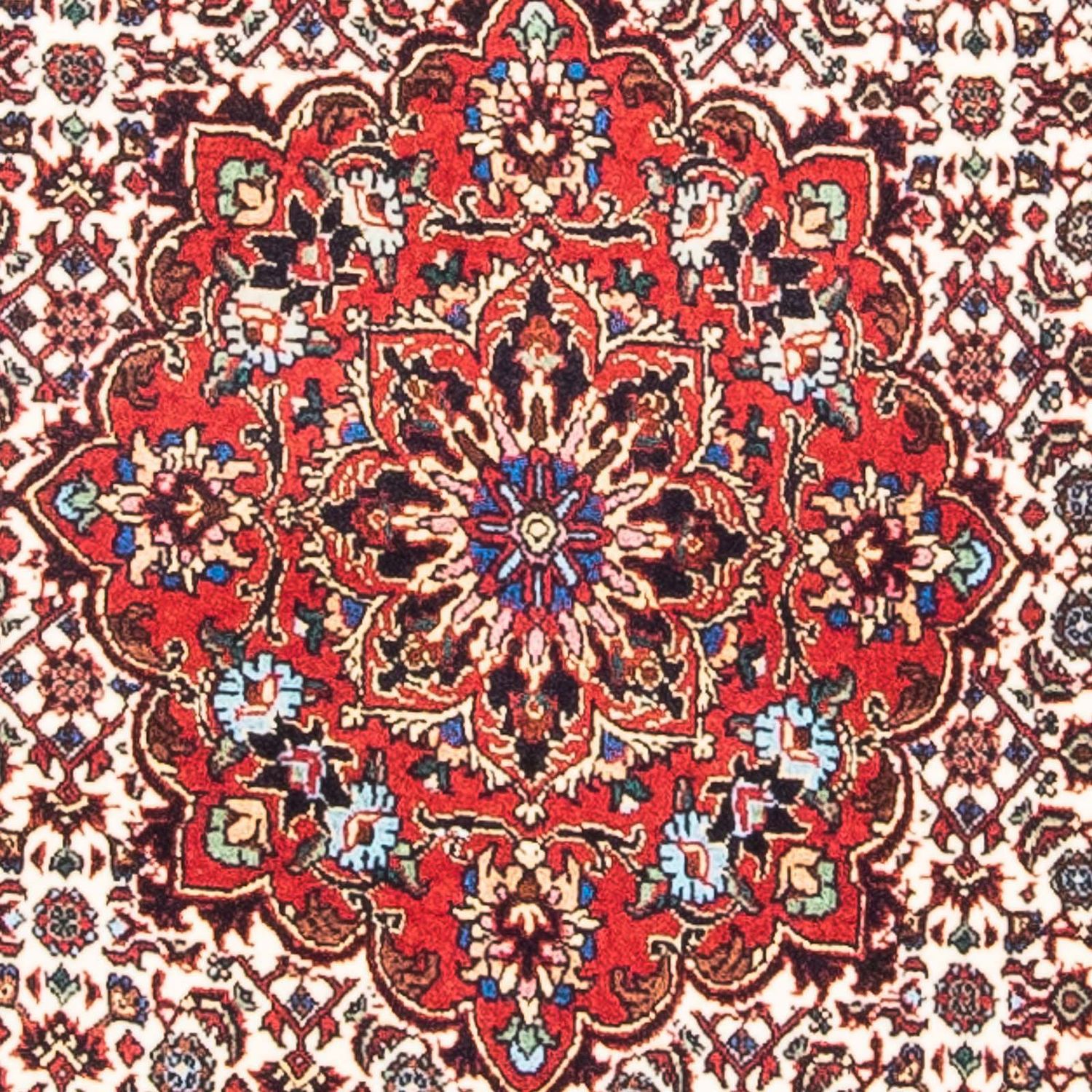 Persisk tæppe - Bijar - 145 x 68 cm - beige