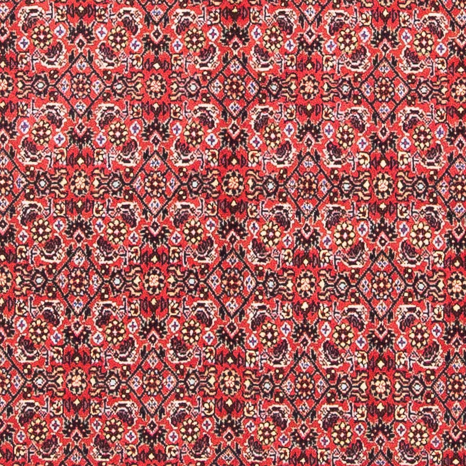 Tapis persan - Bidjar carré  - 104 x 98 cm - rouge