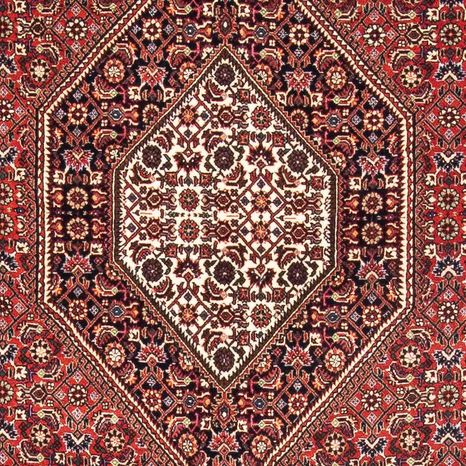 Perser Rug - Bidjar - 181 x 108 cm - red