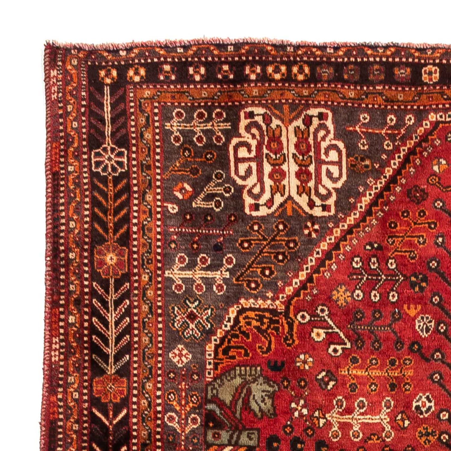 Tapis persan - Nomadic - 253 x 160 cm - rouge foncé