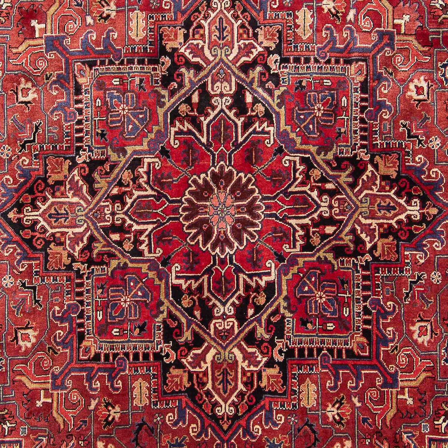 Tapis persan - Nomadic - 330 x 260 cm - rouge clair