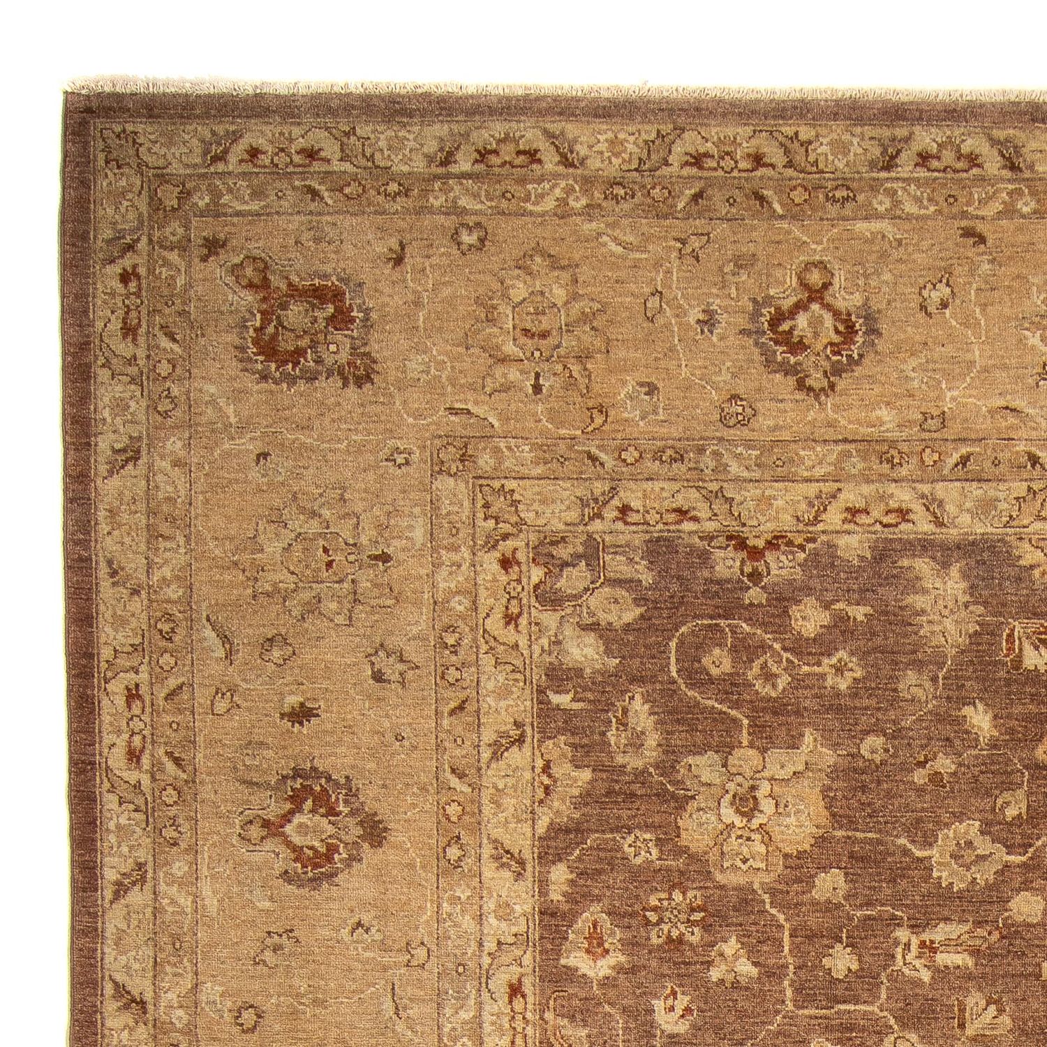 Ziegler Rug - 369 x 270 cm - dark brown