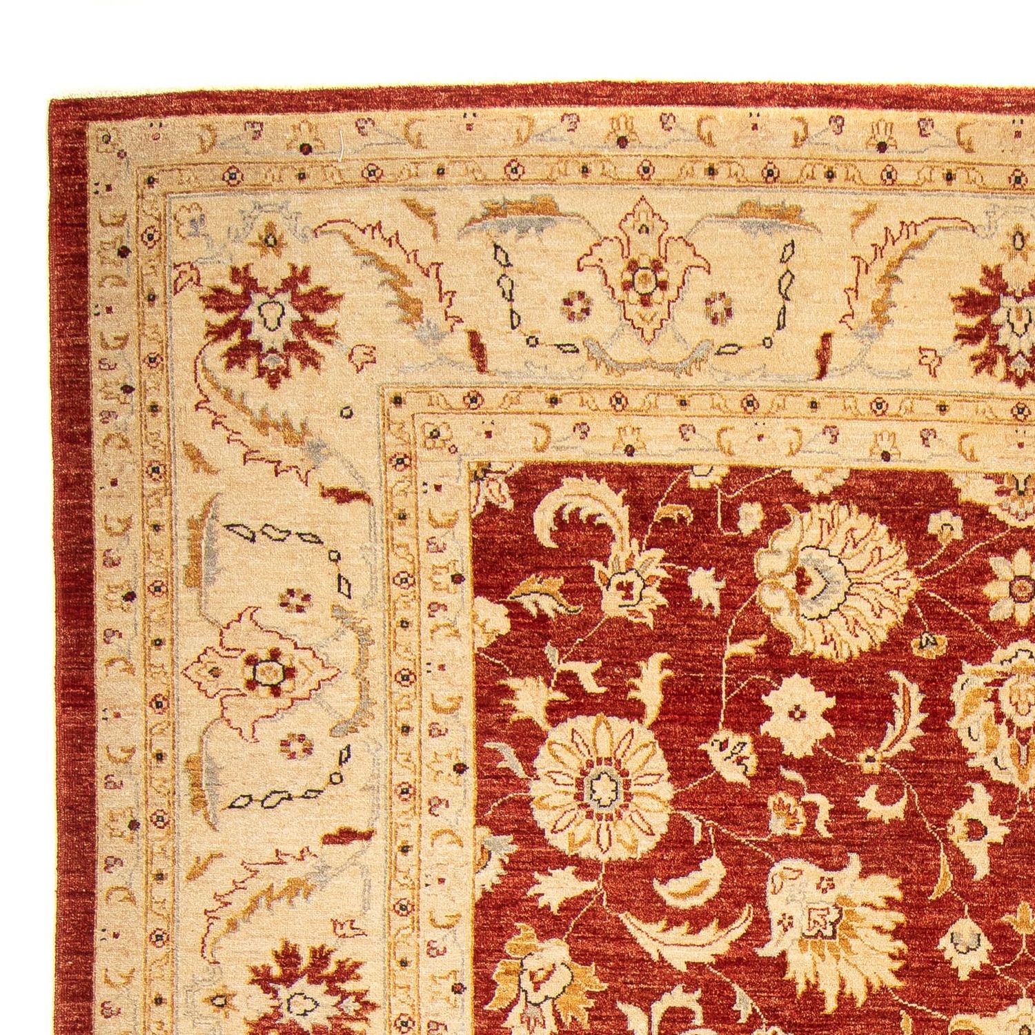 Ziegler Rug - 350 x 277 cm - red