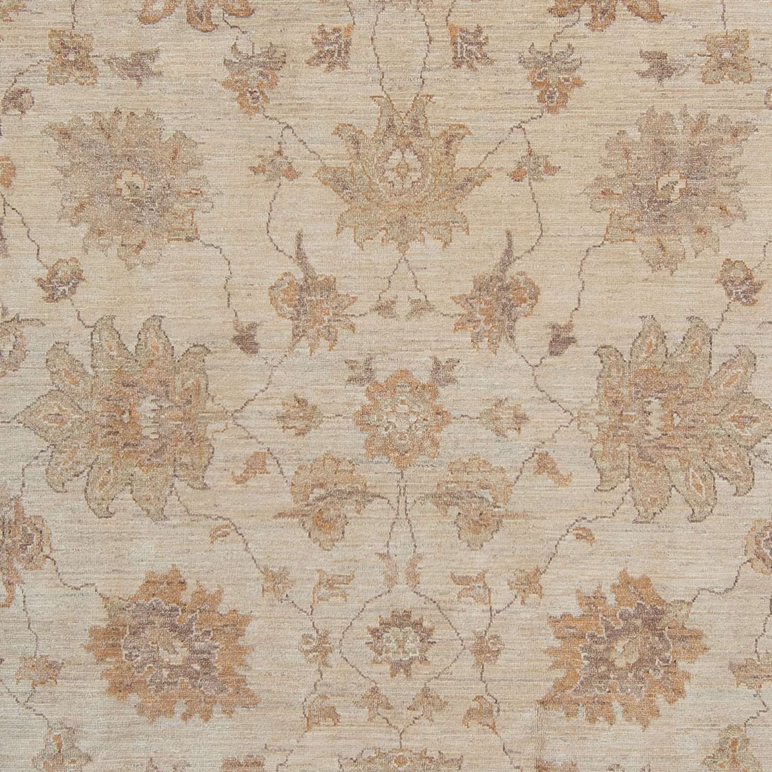 Ziegler Carpet - 337 x 249 cm - ljusbeige
